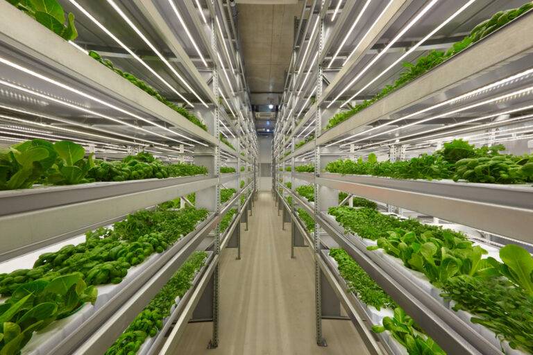 Vertical farm in Finland. — Photo courtesy of ifarm.fi, CC BY-SA 4.0, via Wikimedia Commons