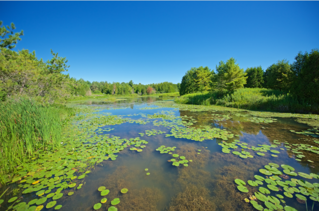 Ontario Greenbelt Land