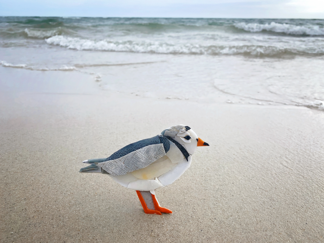 plover sculpture on beach by waves